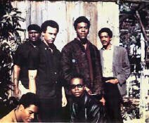 Black Panthers Freedom Fighters 1966